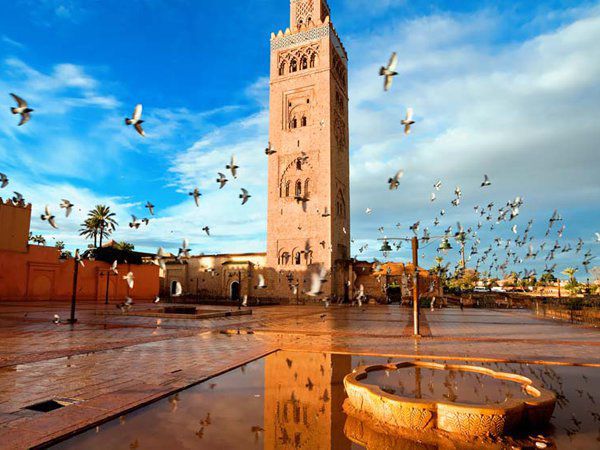 Hướng dẫn thủ tục xin visa đi Maroc chi tiết chuẩn nhất